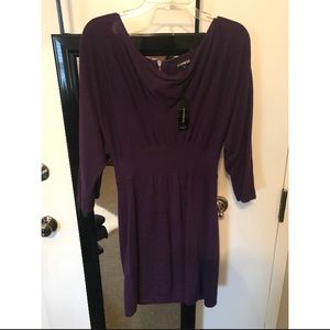 Express Purple Sweater Dress